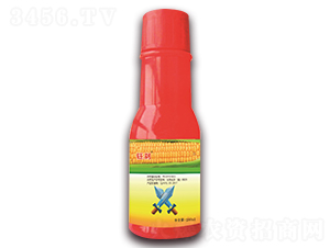 24%�����̡�ݬȥ��ɷ�ɢ��������-��ɲ-�ʨũҵ