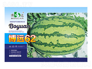 ��Զ62-��ũ��ҵ