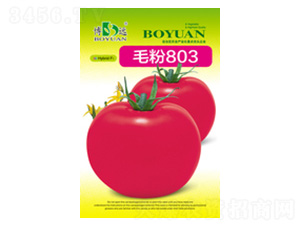 ë��803-��ũ��ҵ