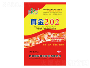 ���202-��ũ��ҵ