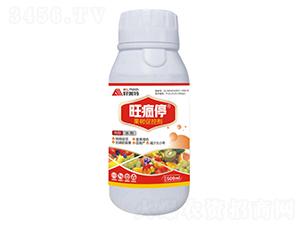 500ml�����ٿؼ�-����ͣ-������