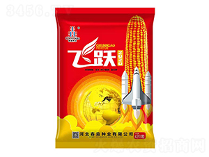 ��Ծ2020-������ҵ