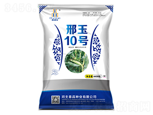 ����10��-������ҵ