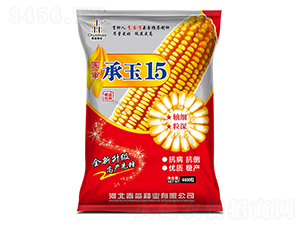 ����15-������ҵ