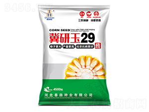 ������29-������ҵ