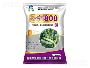 ʥ��800-������ҵ