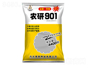 ũ��901-������ҵ