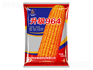 ����964-������ҵ