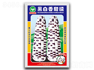�ڰ�����Ŵ-��������-ȪԴ