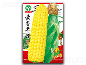 ������Ŵ-��������-ȪԴ