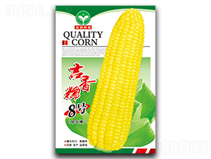 ����Ŵ8��-��������-ȪԴ