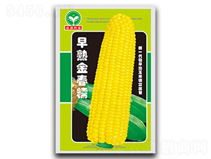 �����Ŵ-��������-ȪԴ