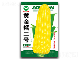 �ƽ�Ŵ����-��������-ȪԴ