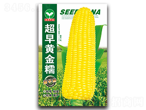 ����ƽ�Ŵ-��������-ȪԴ