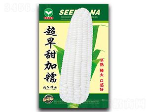 �������Ŵ-��������-ȪԴ