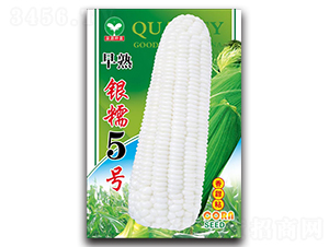 ������Ŵ5��-��������-ȪԴ