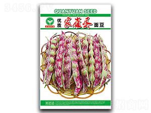 �Ҵ޵��涹-��������-ȪԴ