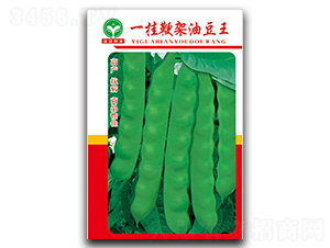 һ�ұ޼��Ͷ���-��������-ȪԴ