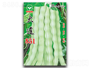 ����851-��������-ȪԴ