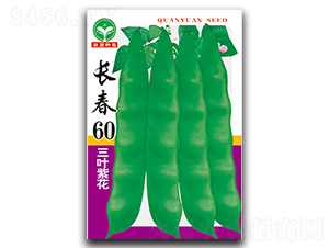 ����60-��������-ȪԴ