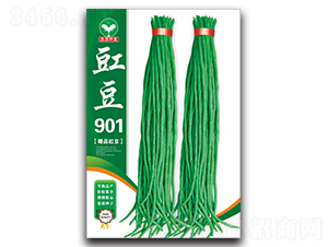 ����901-��������-ȪԴ