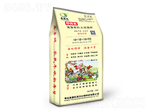 �׿��غ����л�ˮ�ܾ���18-18-18+TE-�ʮ��-��ϲ��