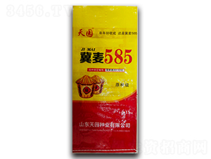 ����585-С������-��԰��ҵ