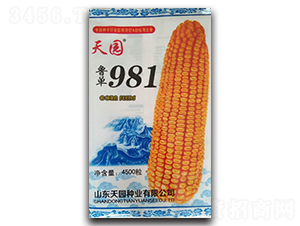 ³��981-��������-��԰��ҵ