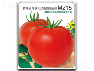 ����M215-��������
