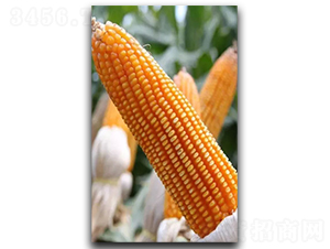¡��7889-��������