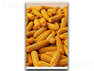 ¡��2065-��������