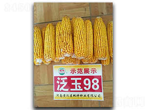 ����98-��������