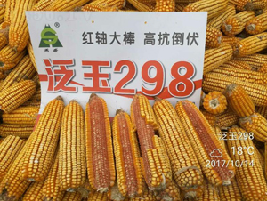 ����298-��������