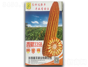 ����3358-��������