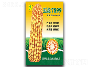 ����7899-��������