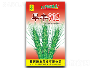 ����902-С������