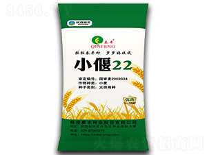 С��22-С������