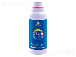 12Ԫ��-ҡǮ������