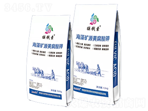 �����Դ�Ƹ����-ҡǮ������