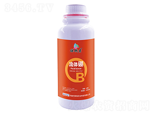 ������-ҡǮ������