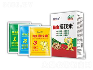����ҡǮ��-ҡǮ������