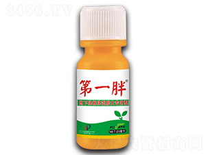 ���¿���龥���������-��һ��-��̩ũҵ