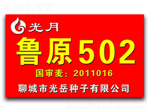 ³ԭ502-С������-��������