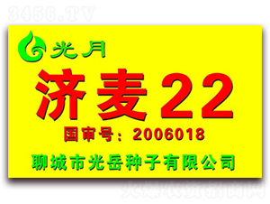����22-С������-��������