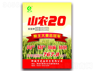ɽũ20-С������-��������