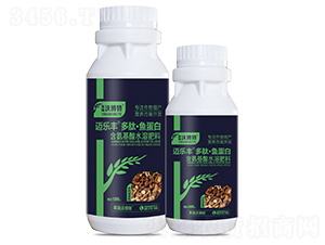 ��ҩ��������ġ��㵰��-���ַ�-Ӣ���ֲ���