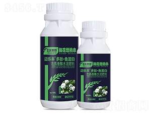 �޻�������ġ��㵰��-���ַ�-Ӣ���ֲ���