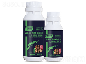 ���龥��������ġ��㵰��-���ַ�-Ӣ���ֲ���