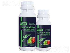 ����������ġ��㵰��-���ַ�-Ӣ���ֲ���