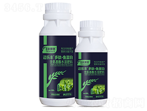 ��ɣ������ġ��㵰��-���ַ�-Ӣ���ֲ���